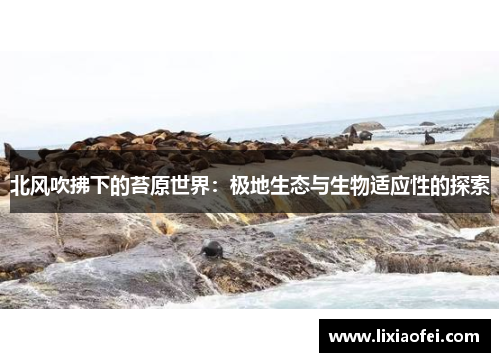 北风吹拂下的苔原世界：极地生态与生物适应性的探索
